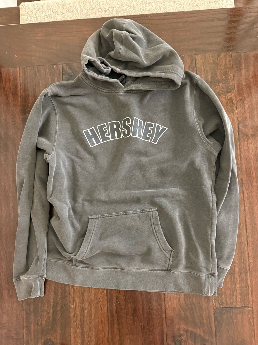 Youth Gray Hershey Park Pullover Hoodie